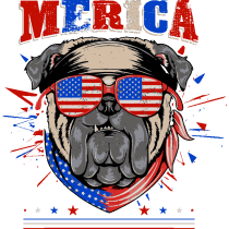 Pugs Rockeros y Patriotas